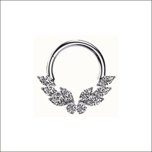 12H-10-Ti-Gem Butterfly