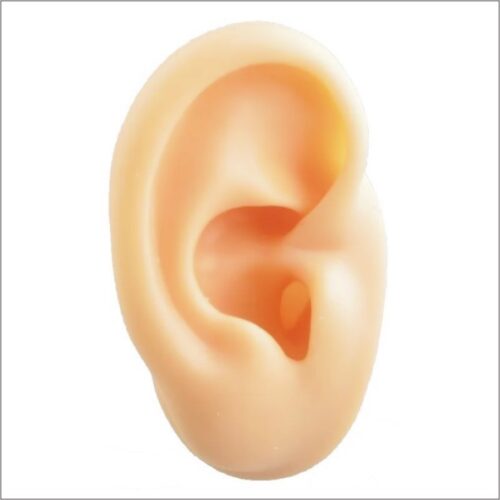 Display ear