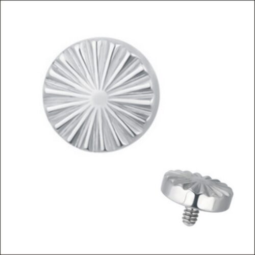 Ti-Ridge-Disc-top